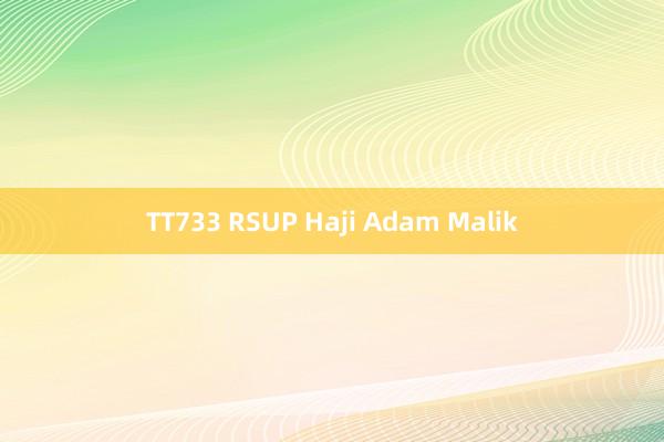 TT733 RSUP Haji Adam Malik